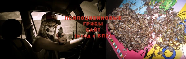 амф Вязьма