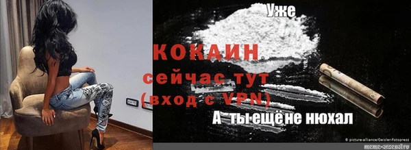 прущая мука Вяземский