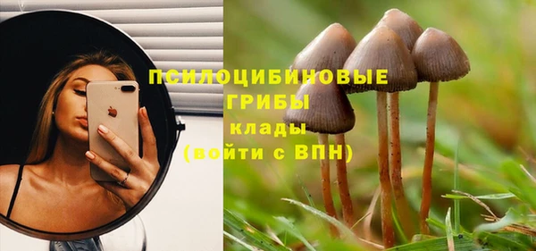 бошки Вязники