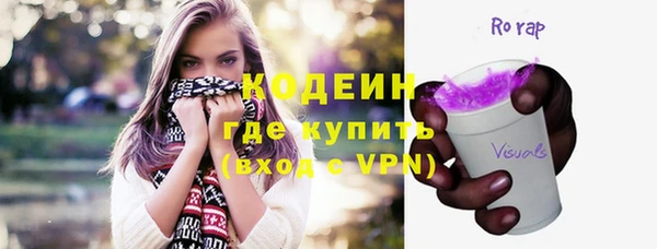 прущая мука Вяземский