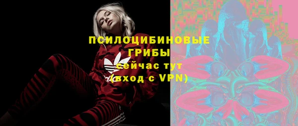 прущая мука Вяземский