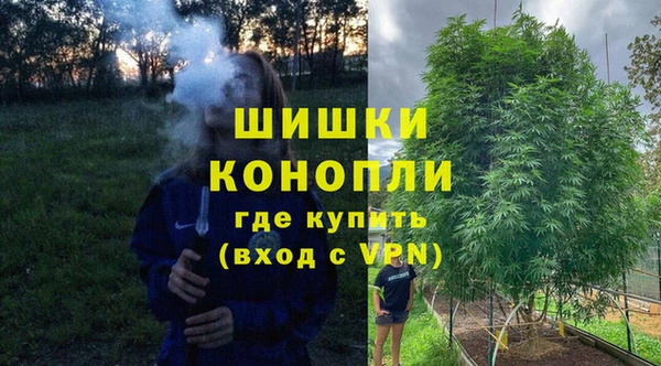 амф Вязьма