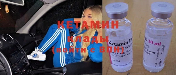 прущая мука Вяземский