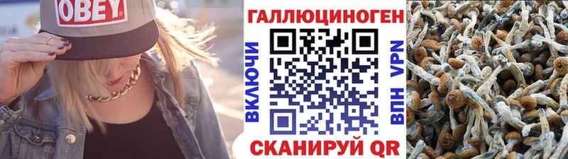 Галлюциногенные грибы Psilocybe  Купить где  Ивантеевка 